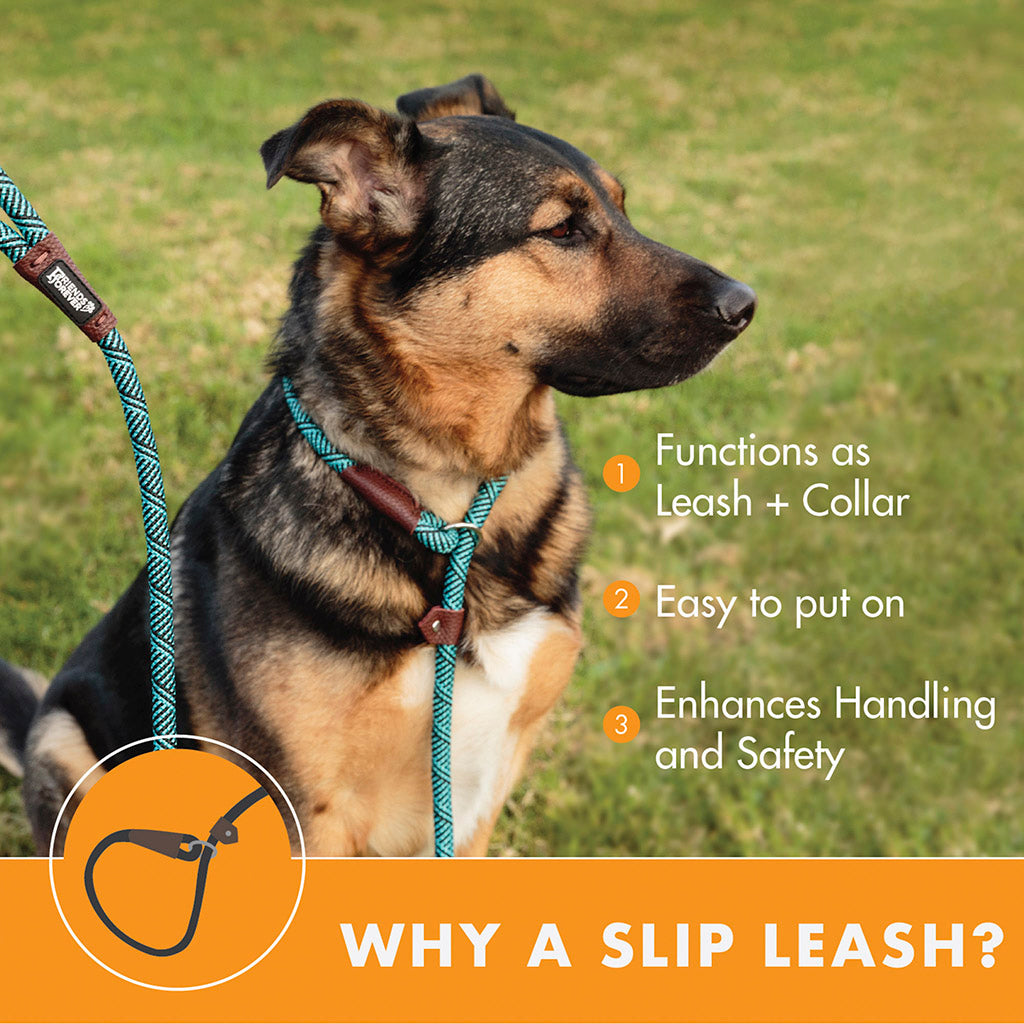 Slip Lead Dog Leash | 6 Feet Dog Rope Leash - Durable/Blue
