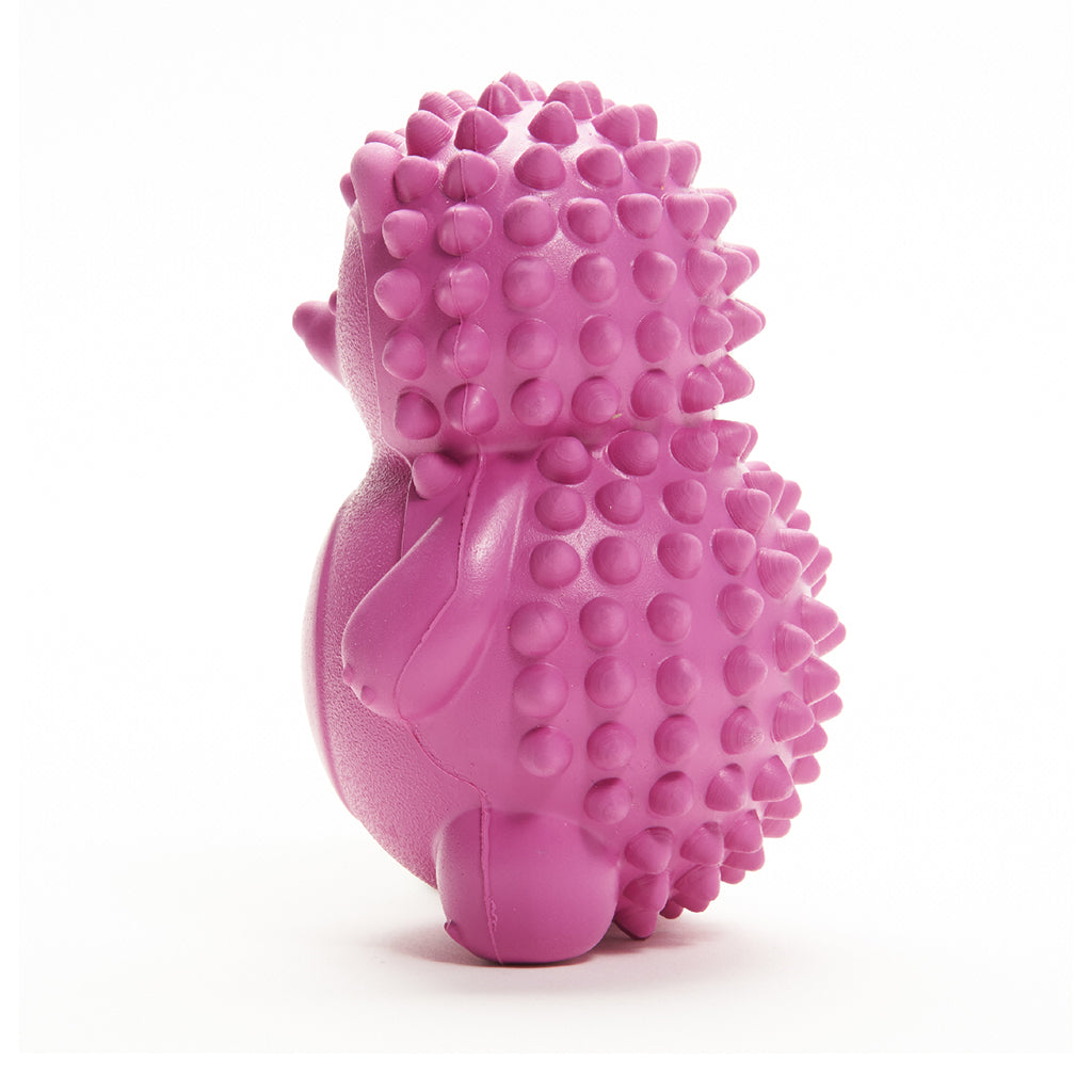 Dog Chew Toys | Squeaky Dog Toys - Rose Red Hedgehog
