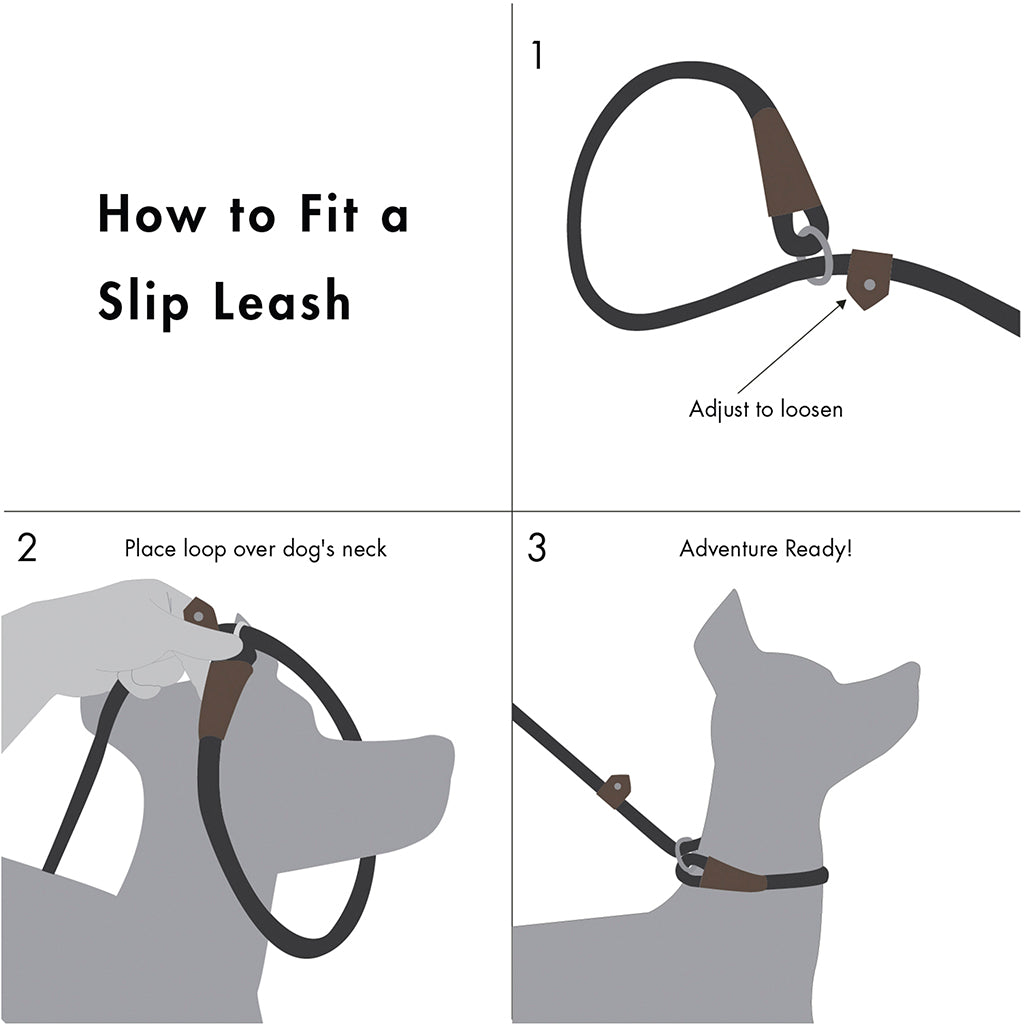 Loop leash for dogs best sale