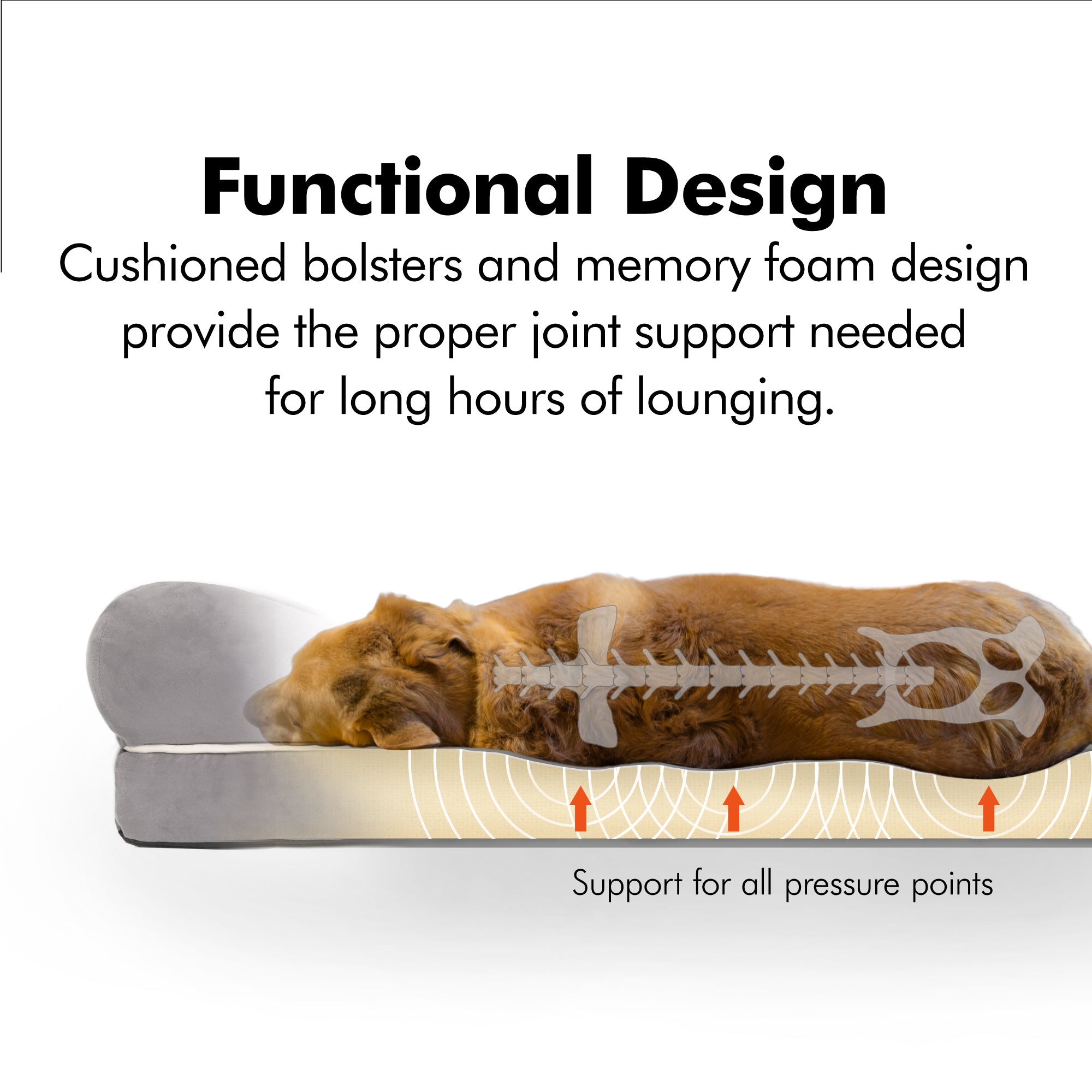 Friends forever orthopedic hot sale dog bed medium