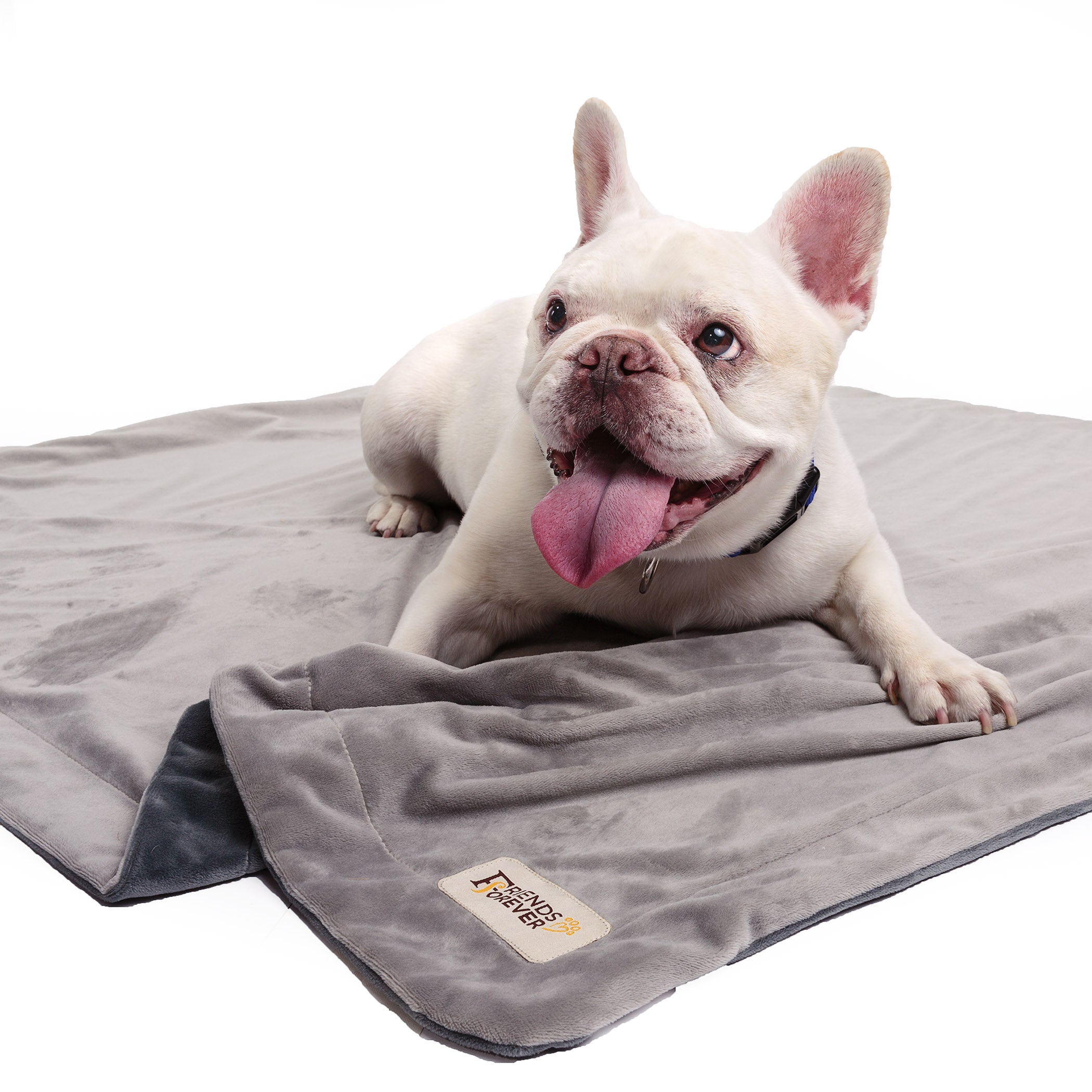 Durable dog blanket best sale