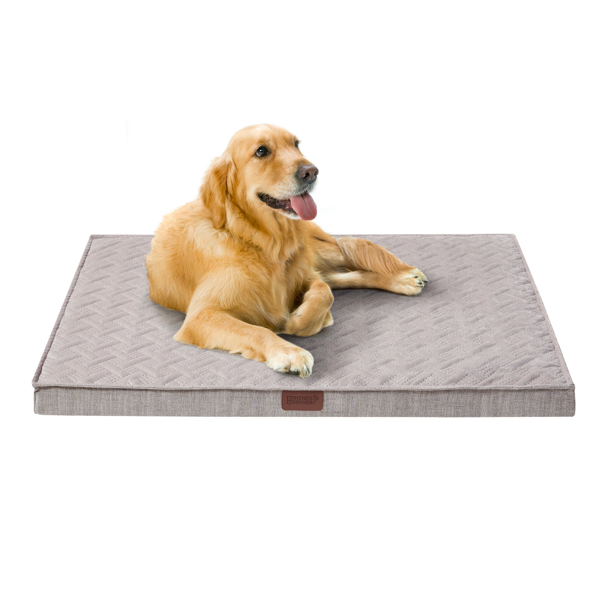 Friends forever orthopedic outlet dog bed lounge sofa