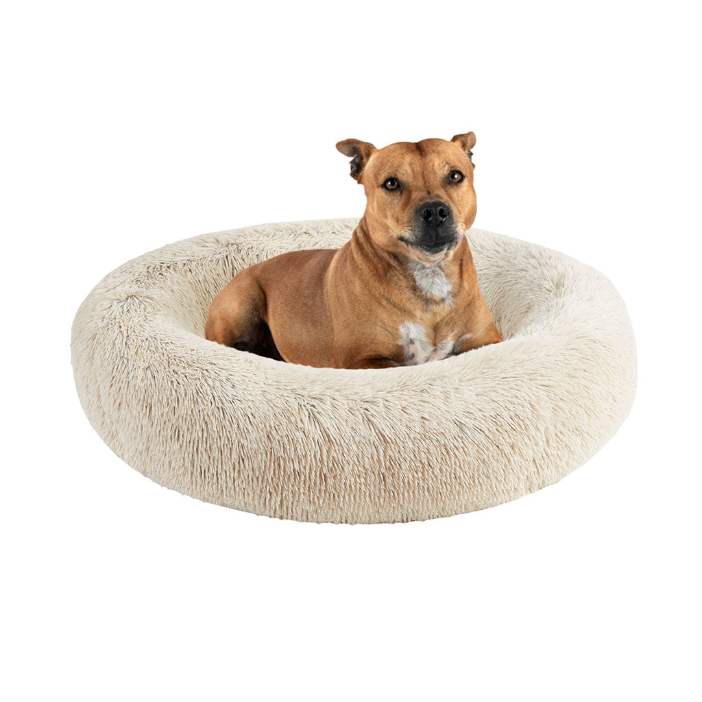 Calming Dog Bed & Cat Bed | Oval Pet Bed with Memory Foam - Serena